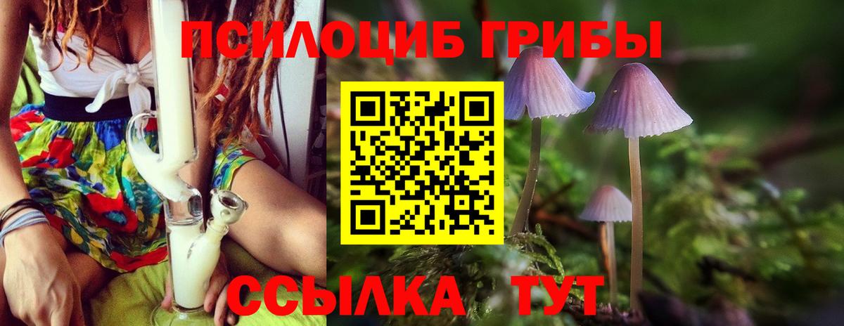 Псилоцибиновые грибы мухоморы  Вход с VPN  Королёв  Псилоцибиновые грибы MAGIC MUSHROOMS 